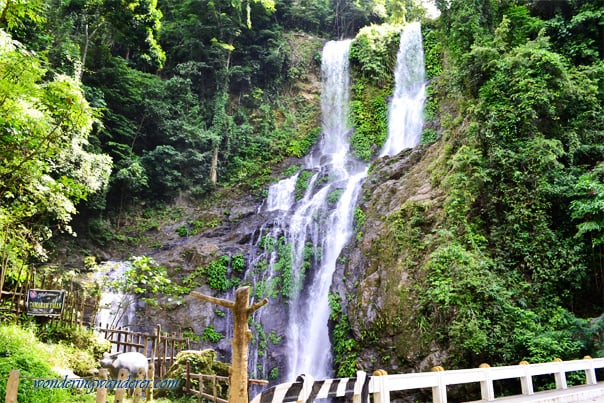 Tamaraw Falls – Puerto Galera