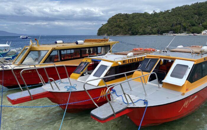 micorazon-water taxi